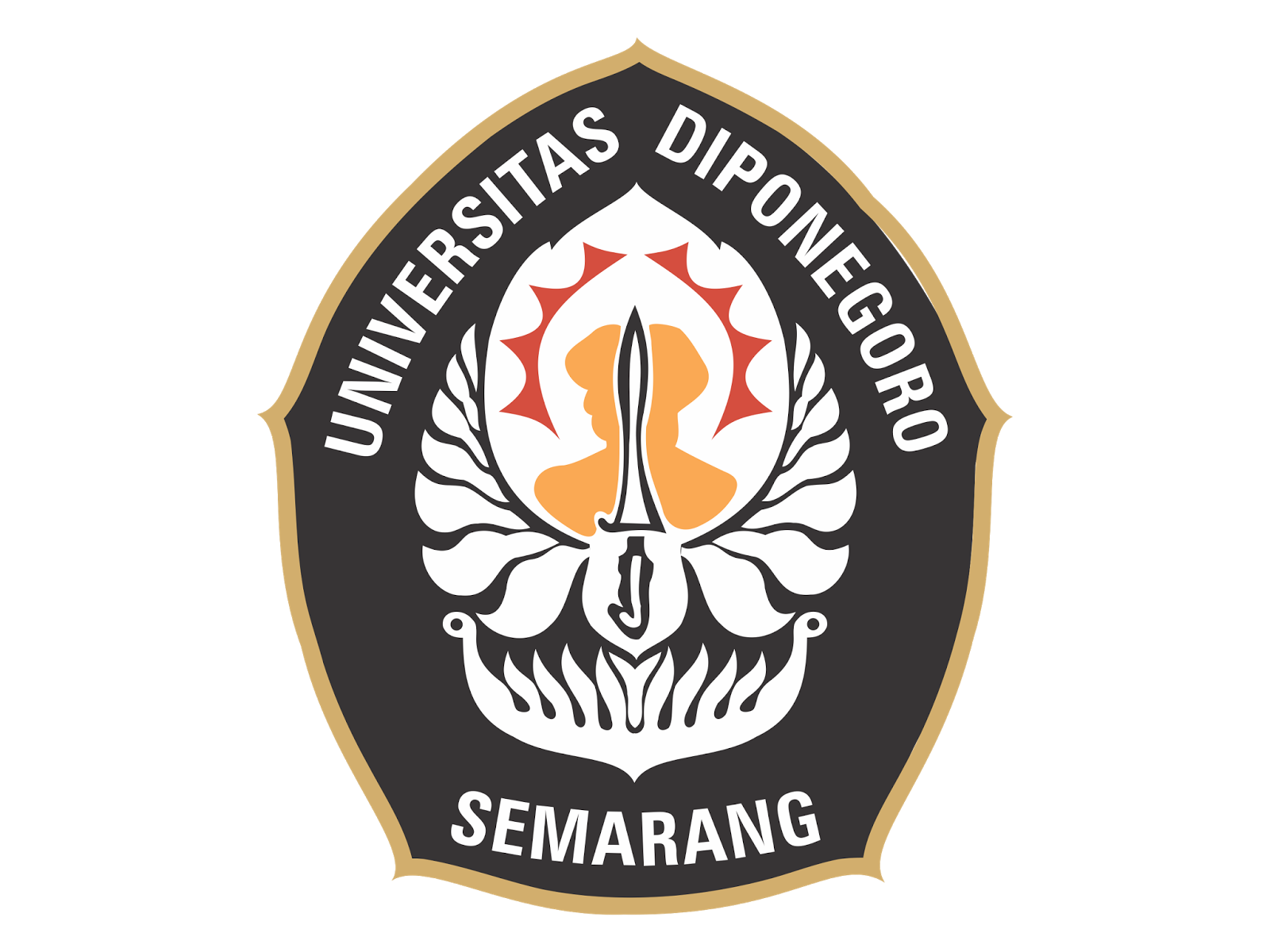 undip